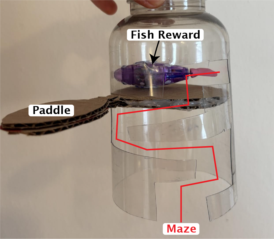 Early Lo-Fi prototype using readily accessible and cheap materials to test a early design idea.